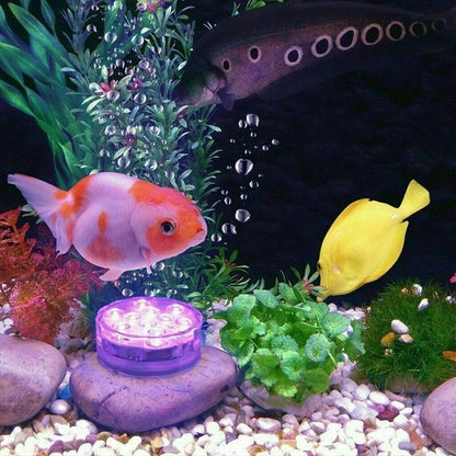 Pool LED's™ 