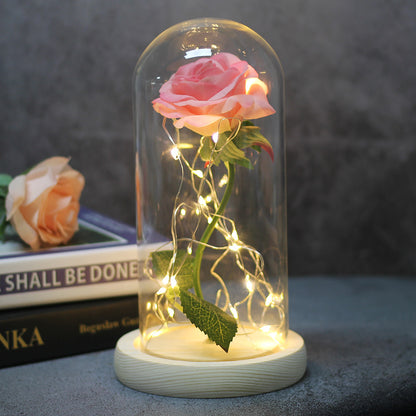 🥰Romantische Valentinstag Rose🥰