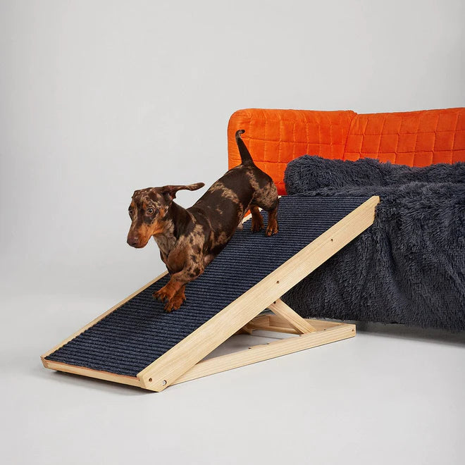 Dog Ramp™ 