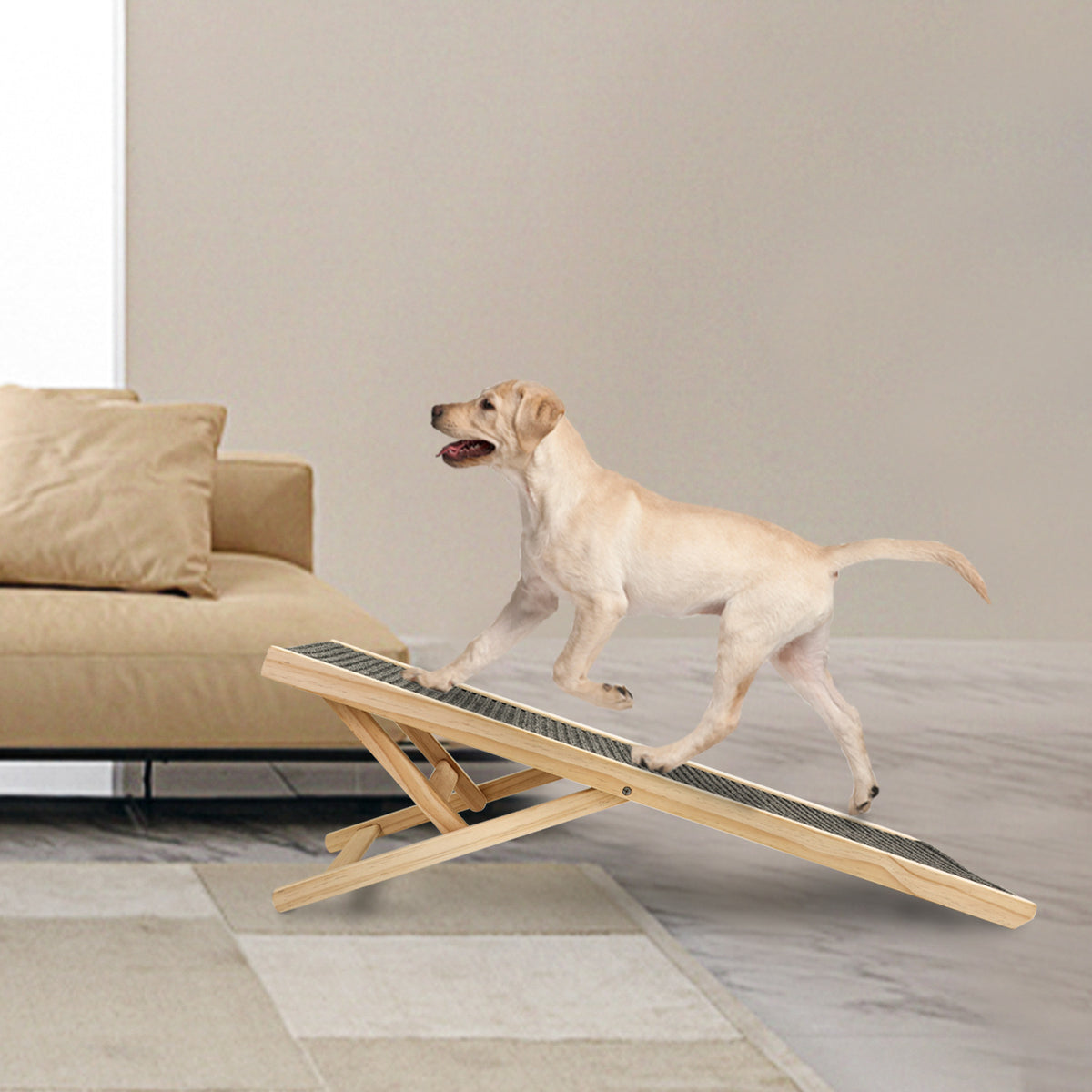 Dog Ramp™ 